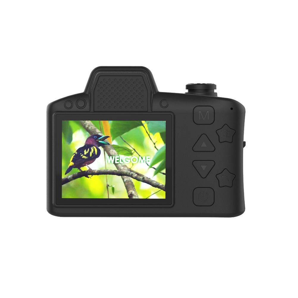 Biggystar Mini cámara para niños Cámara réflex para niños con Zoom ...