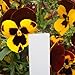 Vakind Plant Pot Markers Garden Nursery Plastic Stake Tags Labels 4 Inch Pack of 100