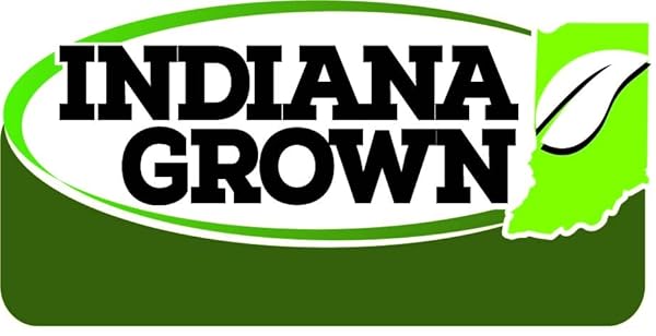 HOOSIER DADDY BBQ SAUCE GHOST ROAST 16OZ