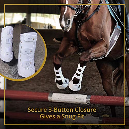 Horse Tendon Boots by Kavallerie: Pro-K 3D Air-Mesh Horse Boots, Showjumping, Horse Jumping Boots, Lightweight with Breathable Soft Padding for Less Sweat and Rubs [Black] - Thumbnail 4
