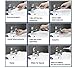 Lucktao Water Floss Dental spa Healthy Teeth Classic Plus Water flosser Oral iIrrigator Unit Equipment Teeth Cleaning Tools
