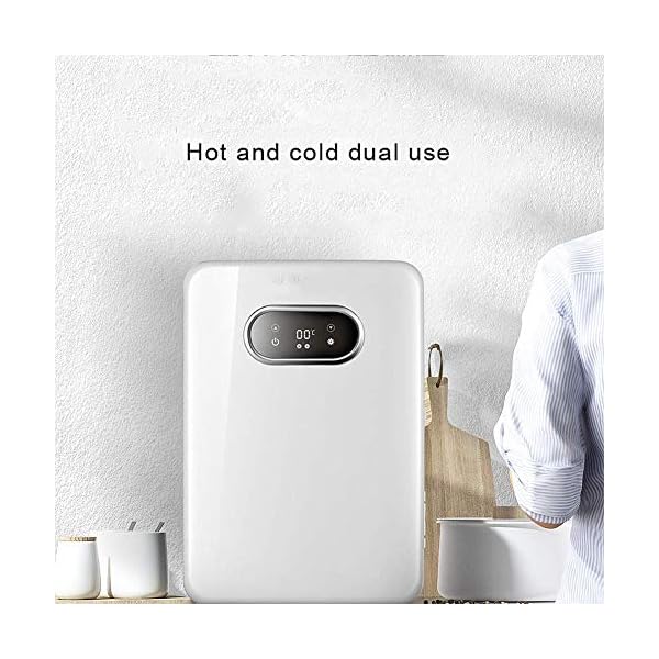 YANJ Portable Mini Fridge 12v 220v,Electric Cool Box Car refrigerator,Home And Car Dual Use Refrigeration And Heating Dual Use 20L Capacity 220V/12V LOLDF1
