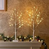 Vanthylit 2FT 24LT Pre-lit White Birch Tree Decorative Light Tabletop-2PC