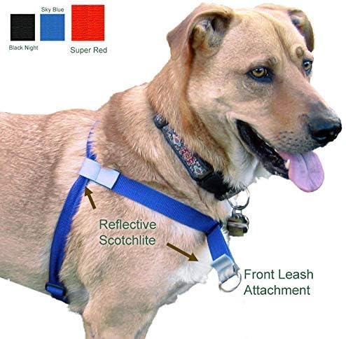 parvo in puppies signs and symptoms