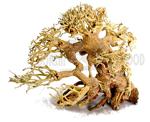 Bonsai Driftwood Aquarium Tree AS random pick (6in H x 8in L) Natural, Handcrafted Fish Tank Decoration | Helps Balance Water pH Levels, Stabilizes Environments | Easy to Install