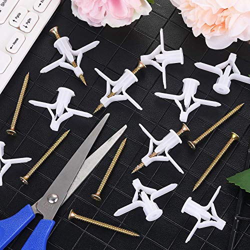 Drywall Anchor Kit Drywall and HollowWall Anchor Assortment Kit, for