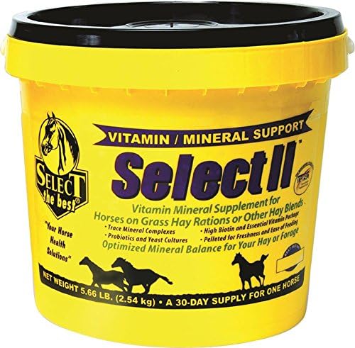 RICHDEL Select Ii Vitamin/Mineral