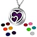 HOUSWEETY Aromatherapy Essential Oil Diffuser Necklace-Stainless Steel Locket Pendant,11 Refill Pads (Non-Engraving)