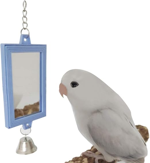 budgie toys amazon