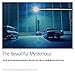 The Beautiful Mysterious: The Extraordinary Gaze of William Eggleston (University of Mississippi Mus by 