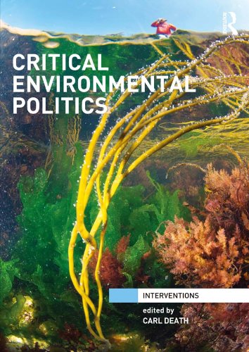Critical Environmental Politics (Interventions)