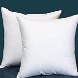 Set of 2, Square Decorative Throw Pillows Inserts