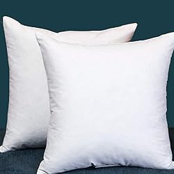 Set of 2, Square Decorative Throw Pillows Inserts
