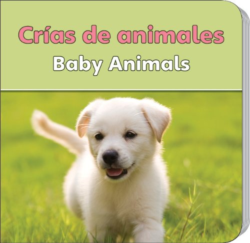 Buy Crias De Animales Baby Animals Rourke Board Books Book Online At Low Prices In India Crias De Animales Baby Animals Rourke Board Books Reviews Ratings Amazon In