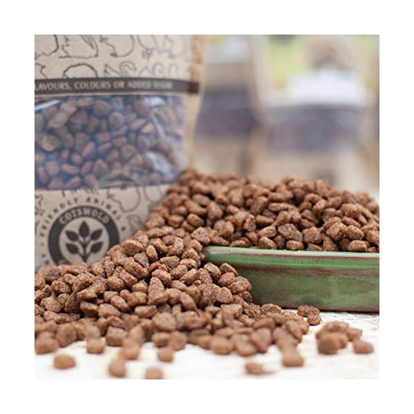 Cotswold-Granaries-HOGM-Hedgehog-Food-Medium-natural Cotswold Granaries HOG/M Hedgehog Food (Medium), natural