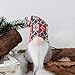 EDLDECCO Christmas Gnome Pack of 4 Plush Yule Santa Nisse Figurine Plush Swedish Nordic Tomte Scandinavian Elf X'Mas Holiday Party Home Decor Ornaments (Grey, 4)