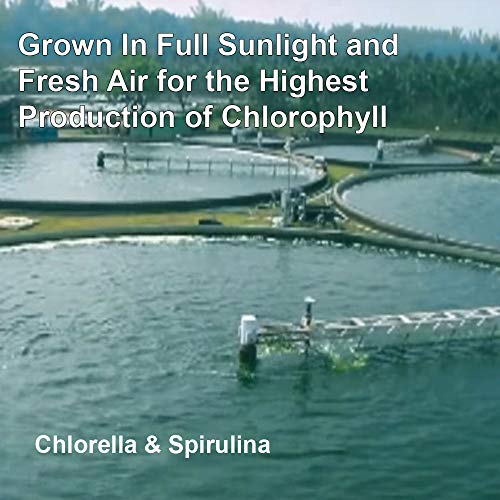 Sunlit Best Organic Burst Chlorella Spirulina Tablets Pure Superfood Supplement for Heavy