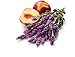 Glade Automatic Spray Refill, Lavender and Peach Blossom, 6.2 Ounce [Pack of 2]