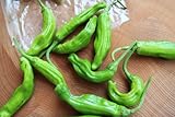 SeedsDirect's Shishito Sweet Wrinkled Old Man Pepper Seeds - 20 Pack - Certified Organic Non - GMO