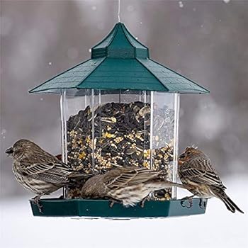 Amazon Com Hot Bird Feeding Green Pavilion Shaped Bird