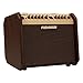Fishman Loudbox Mini 60W Acoustic Instrument Amplifier