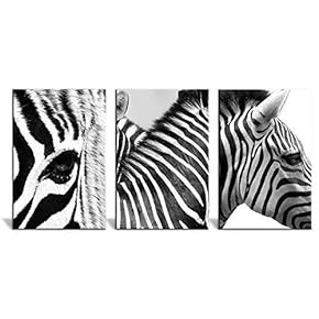 3 Panel Canvas Wall Art - Close Up of Zebras in Black and White - Giclee Print Gallery Wrap Modern Home Art Ready to Hang - 16"x24" x 3 Panels