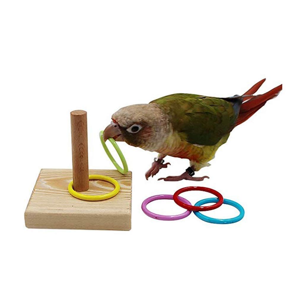 Sahgsa Bird toy stacking pet bird parrot Small rings toy set for parrots