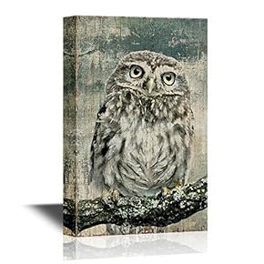 Young Owl Perching on Branch in Front of White Background