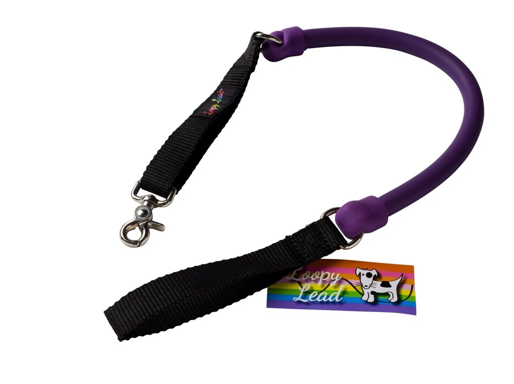 Loopy Lead, Extra Large, Violet (for dogs weighing 45kg-90kg)