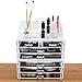 Ikee Design Cosmetics Makeup and Jewelry Storage Case Display for Lipstick, Nail Polish, Brushes, Jewelry and More, Clear