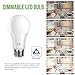 Lighting EVER LED Light Bulbs, Daylight White, 6 Pack
