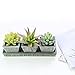 MyGift Realistic Artificial Succulent Plants in Rustic Brown Wooden Square Pots & Rectangular Display Tray, Set of 3