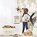 OrganizerLogic Canvas Storage Basket - Large Storage Bin with Handles - Decorative Storage Containers in Beige - 17” x 13” x 10” Woven Fabric Bin (Large)