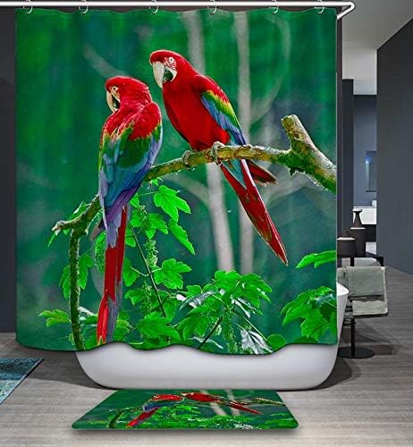 Amazon Com Gojeek Parrot Shower Curtain Couple Birds Tree Nature Jungle Themed Bathroom Set 66 72 Home Kitchen
