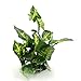 uxcell Green Plastic Terrarium Tank Lifelike Plant Decorative Ornament for Reptiles Amphibians