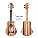 Honsing Soprano Ukulele Professional 21 Inch uke with 5mm Padded Gig Bag Aquila Strings Rosswood Frets Colorful Stained Hawaiian Pattern