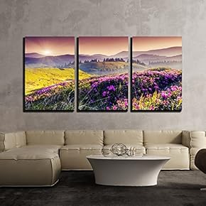 3 Piece Canvas Wall Art - Magic Pink Rhododendron Flowers on Summer Mountain - Modern Home Art Stretched and Framed Ready to Hang - 16"x24"x3 Panels