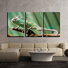 3 Piece Canvas Wall Art - Chameleon - Modern Home Art Stretched and Framed Ready to Hang - 16"x24"x3 Panels