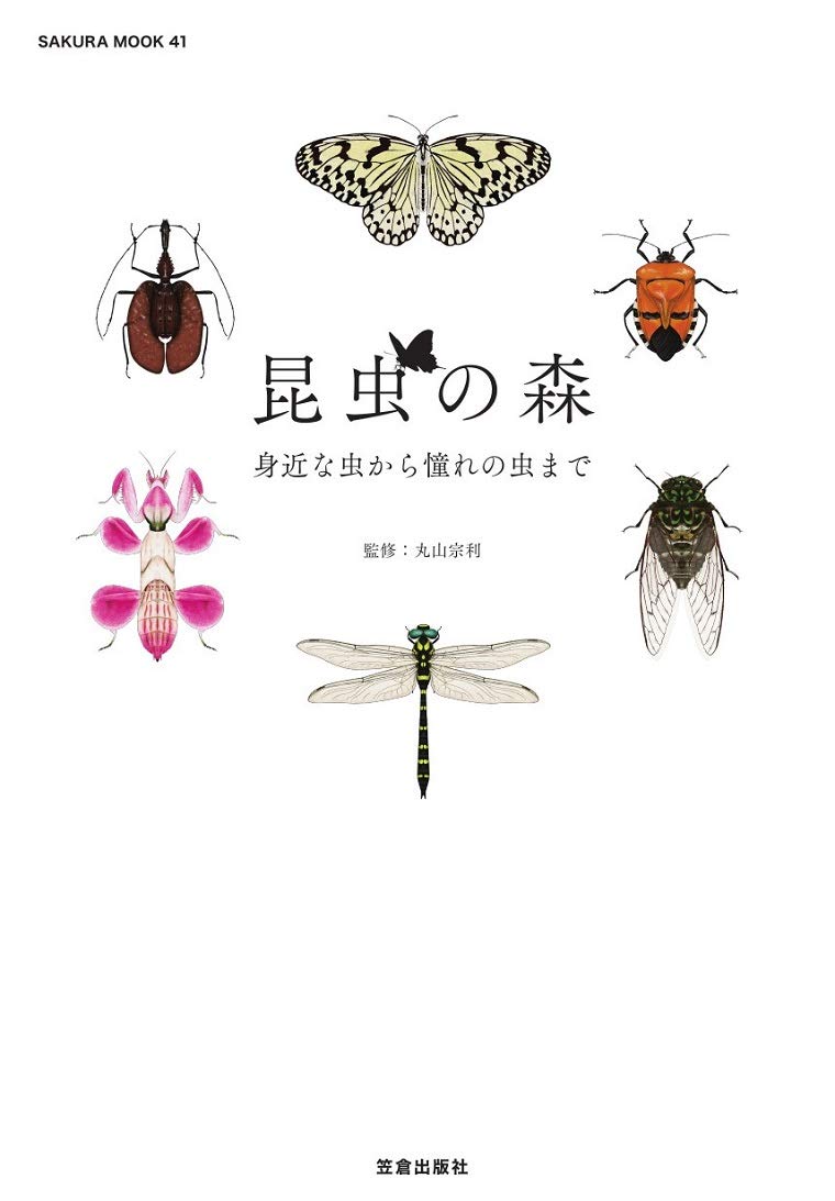 昆虫の森 サクラムック 丸山 宗利 本 通販 Amazon