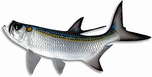 Hand Painted Jumbo Tarpon Fish Ocean Restaurant Wall Mount Decor Plaque 48"