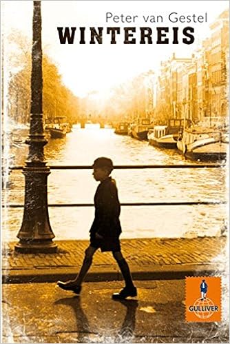 Wintereis Roman Gulliver Amazon De Van Gestel Peter Pressler Mirjam Bucher