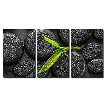 Bamboo Branch On Zen Stone Canvas Canvas Art