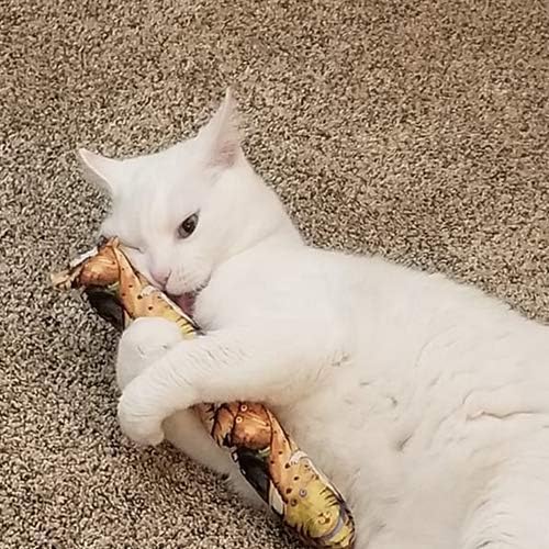 kitty kick stix amazon