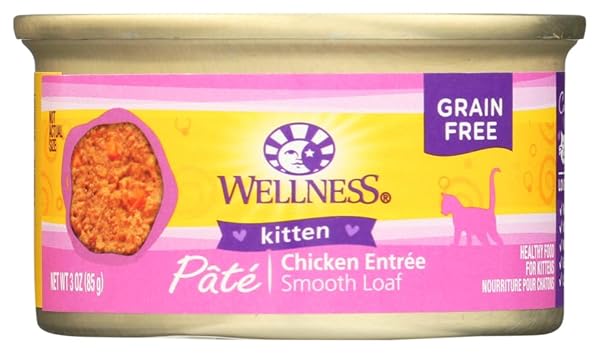 WELLNESS CAT FOOD KITTEN, 3 OZ