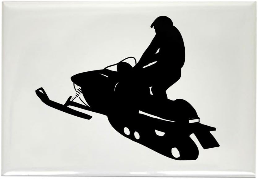 The 10 Best Extreme Refrigerator Magnets