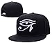 ZZZB Egyptian Hieroglyphic Eye of Horus Logo Adjustable Snapback Embroidery Hats Caps