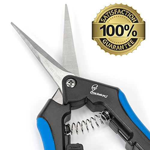 Greenthumbpro Hydroponic 2Pack Microtip Straight Blade/Curved Blade Flower Leaf Trimmer Pruner Shears - Image 4