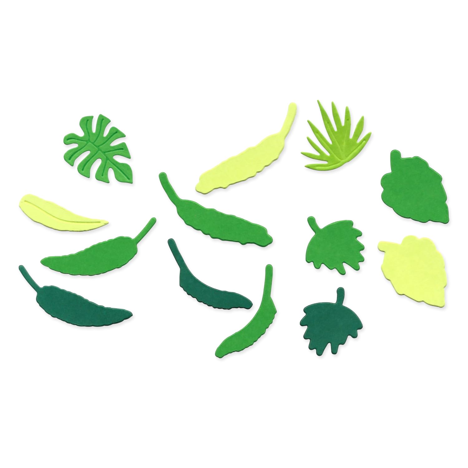 Sizzix® Thinlits® Die Set 14PK – Stay Wild #2 by Catherine Pooler