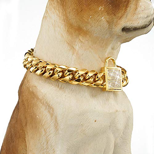 dog bling chain