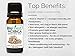 Biofinest Moringa Organic Oil - 100% Pure, Natural, Cold-Pressed - Premium Moisturizer - Soothe Acne, Psoriasis, Eczema, Dry Skins, Scars - FREE E-Book (10ml)